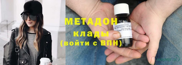прущие грибы Арсеньев