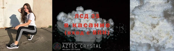прущие грибы Арсеньев