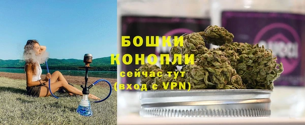 прущие грибы Арсеньев
