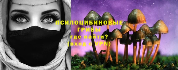 ALPHA PVP Аркадак