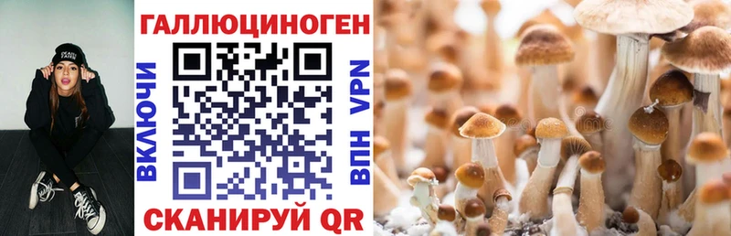 Псилоцибиновые грибы мухоморы  наркошоп  Уржум 